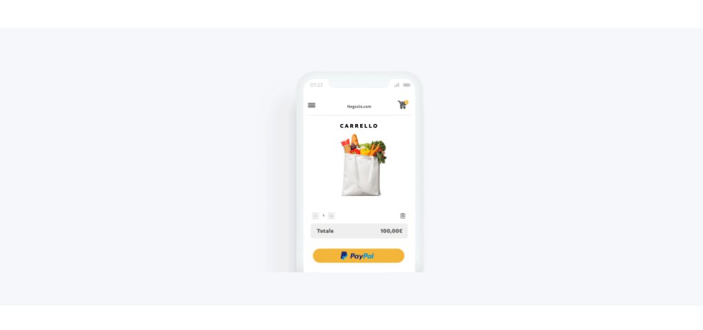 come si usa paypal
